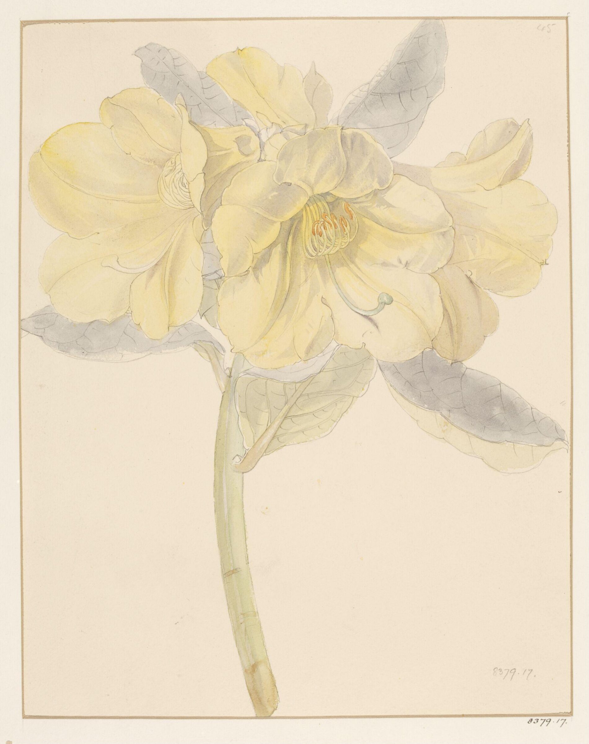 Drawing, Samuel Holden, 1837-47