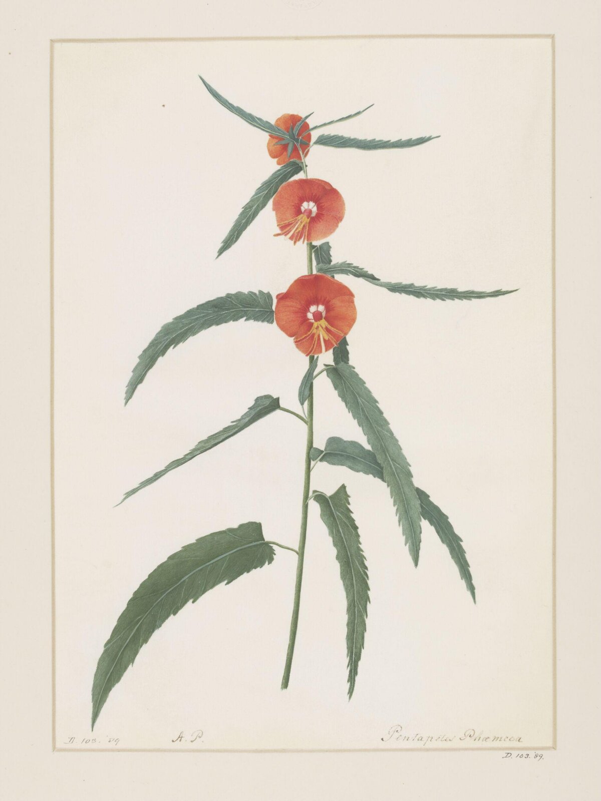 Drawing, A. Power, ca. 1800
