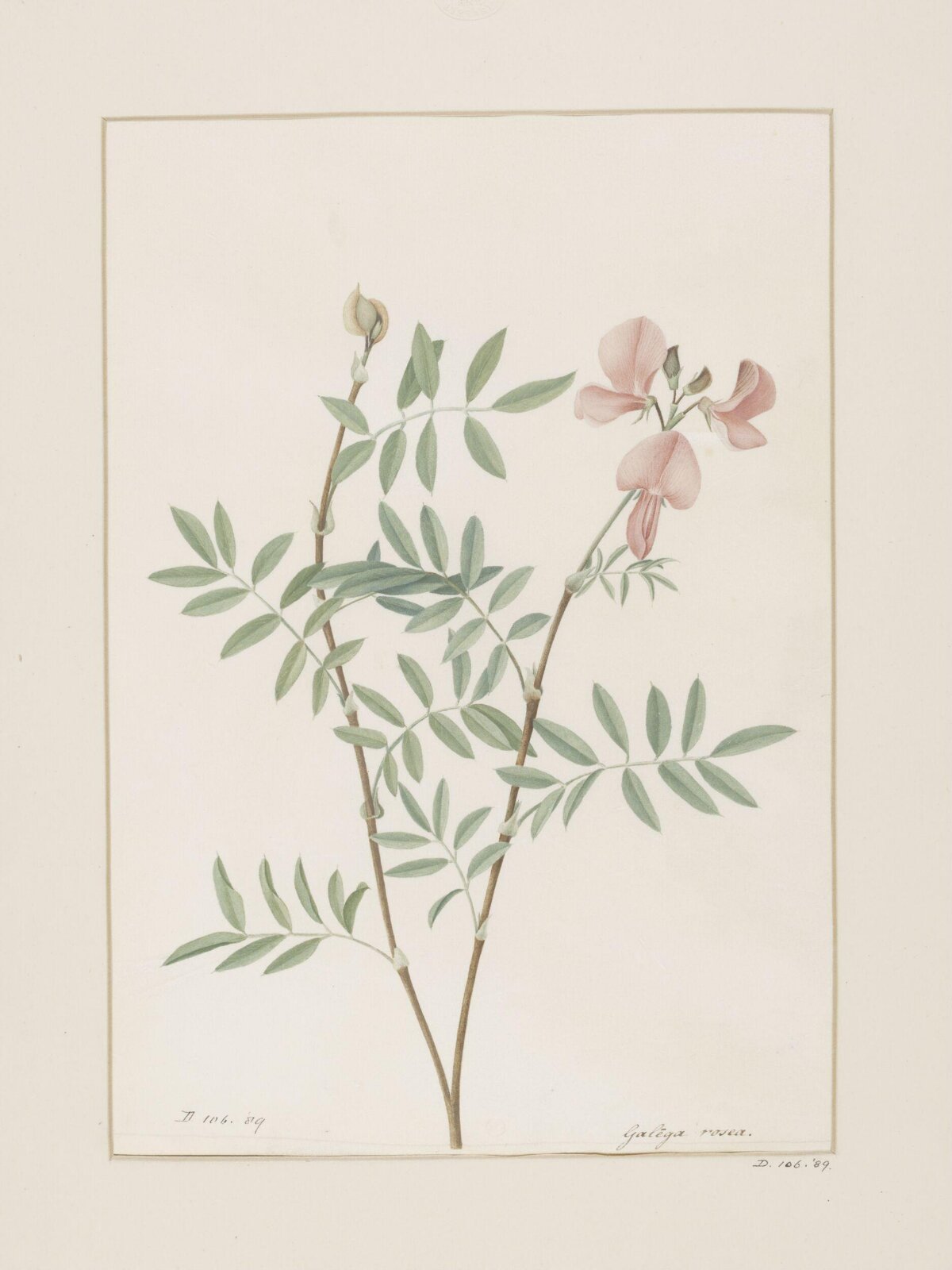Drawing, A. Power, ca. 1800
