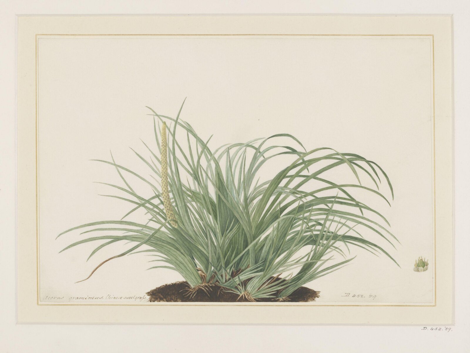 Drawing, A. Power, ca. 1800