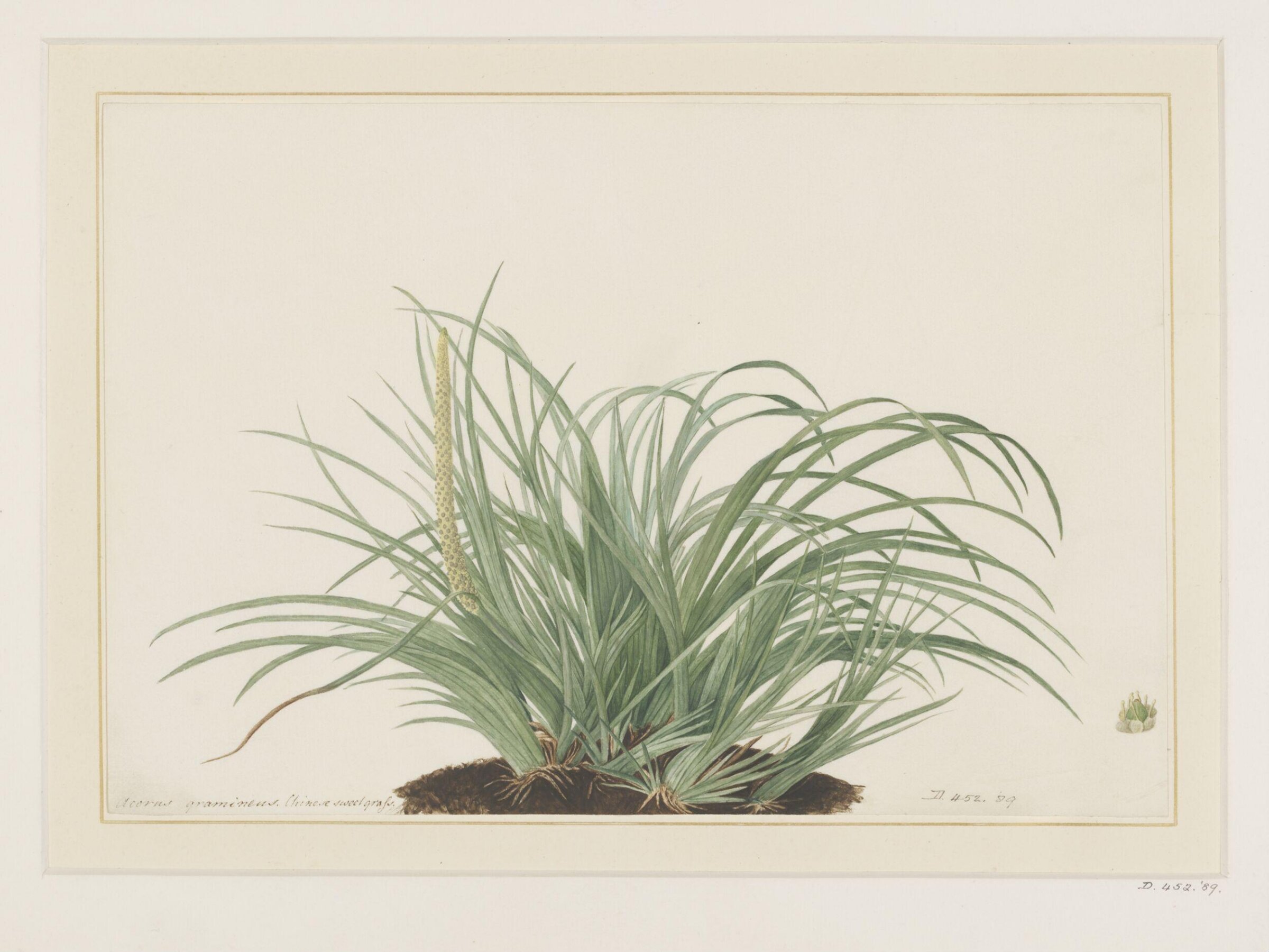 Drawing, A. Power, ca. 1800