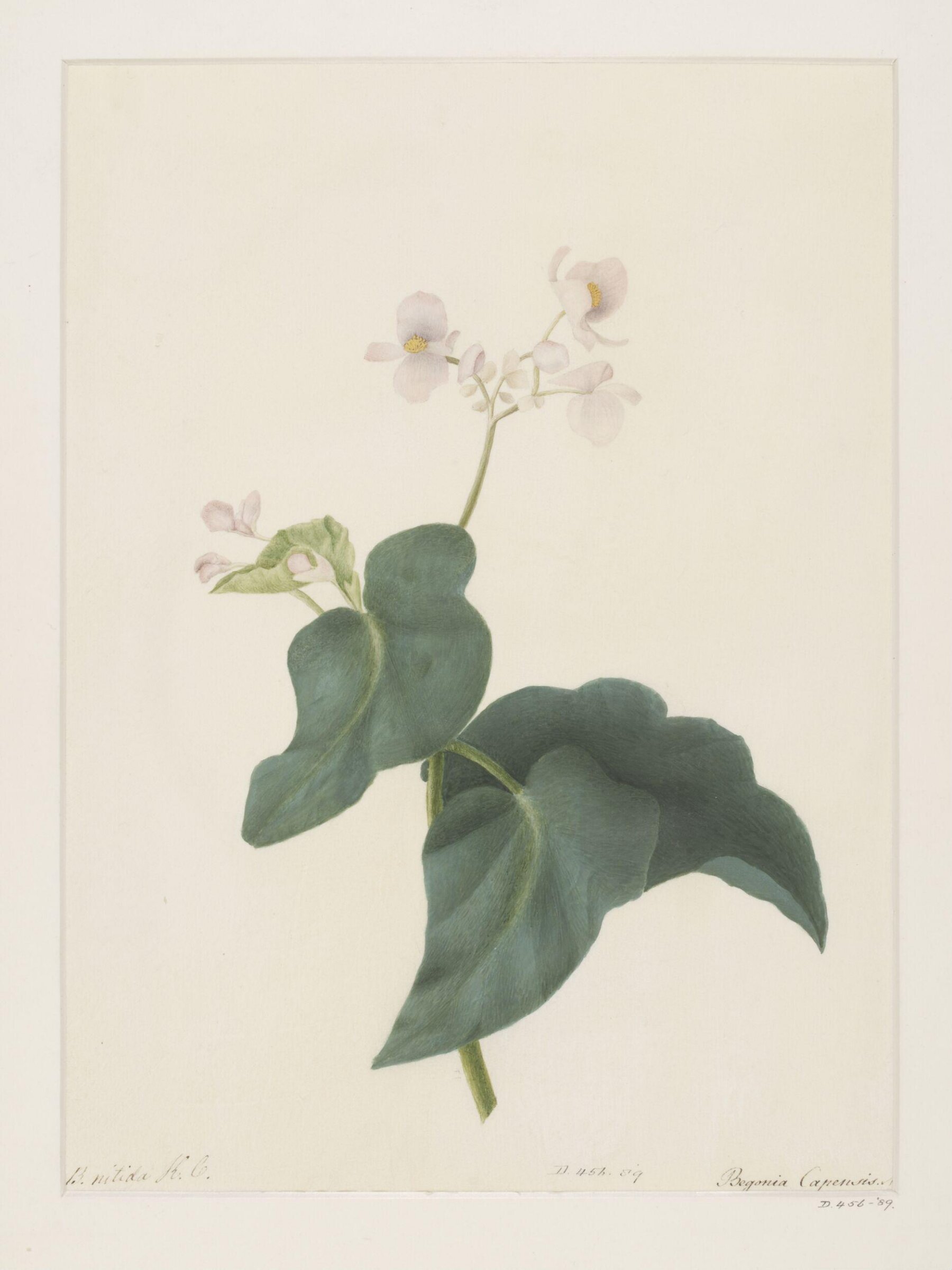 Drawing, A. Power, ca. 1800