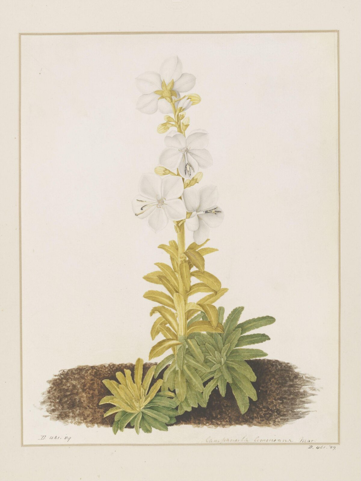 Drawing, A. Power, ca. 1800