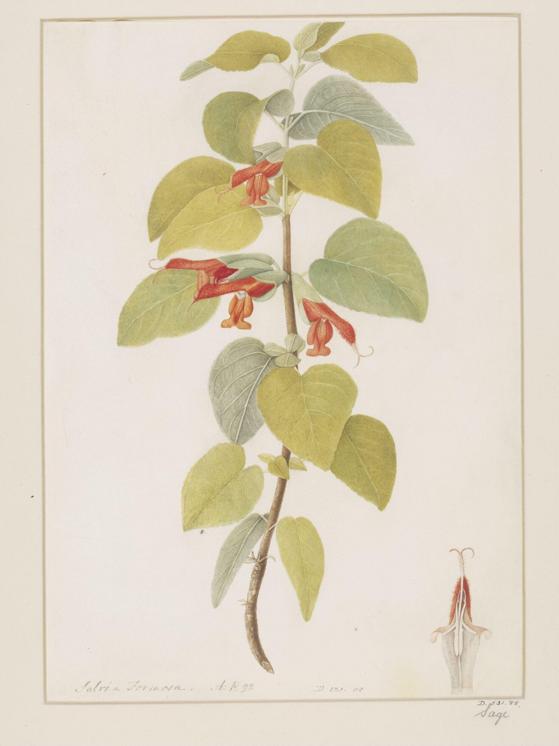 Drawing, A. Power, late 18th century - early 19th century