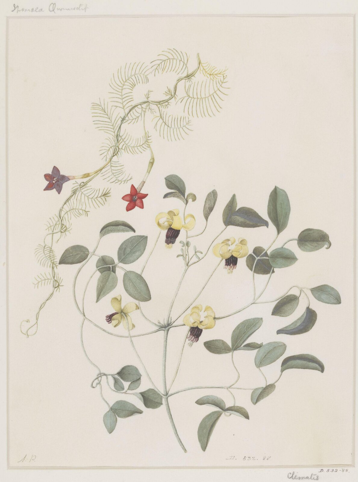 Drawing, A. Power, late 18th century - early 19th century