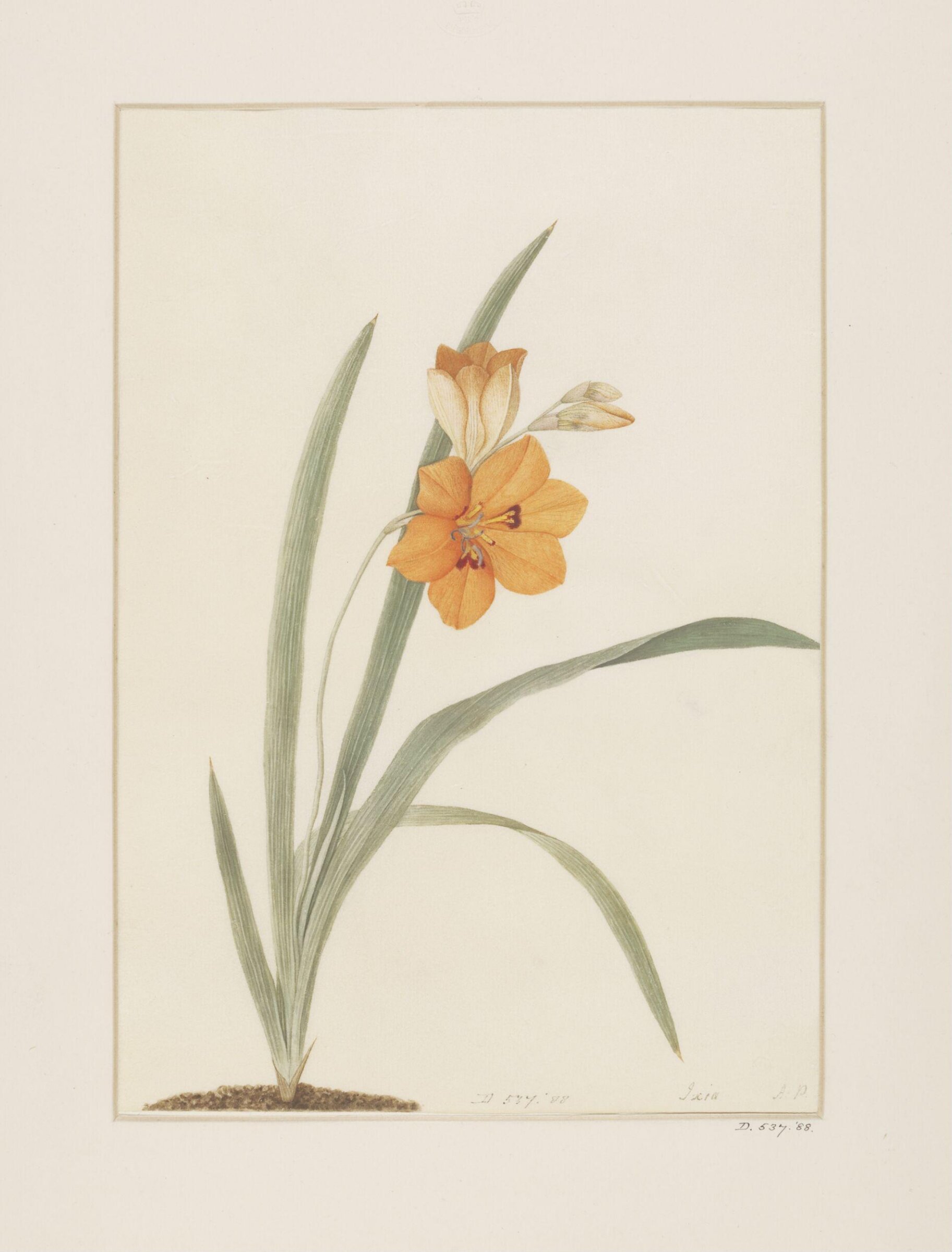 Drawing, A. Power, late 18th century - early 19th century