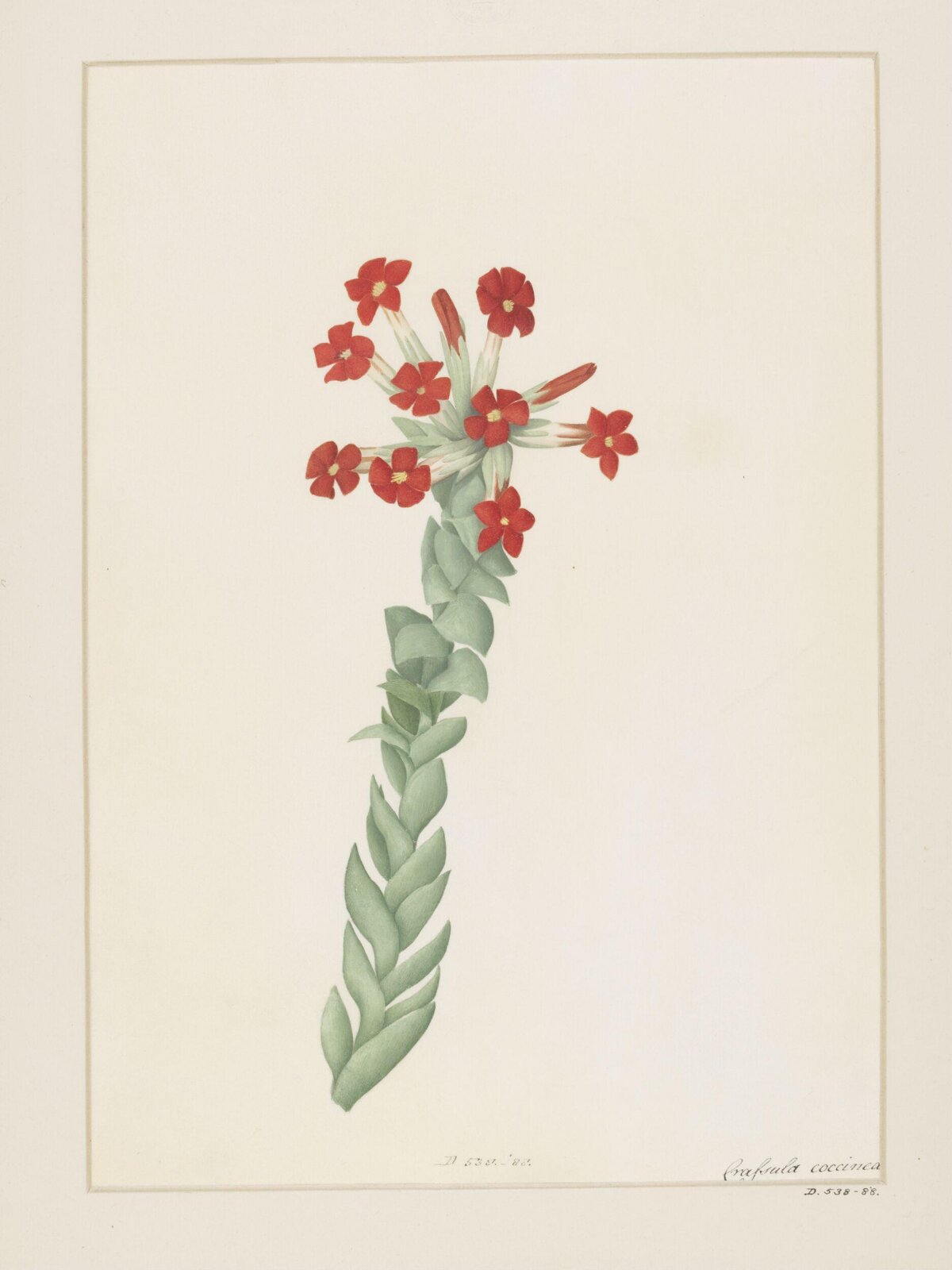Drawing, A. Power, late 18th century - early 19th century