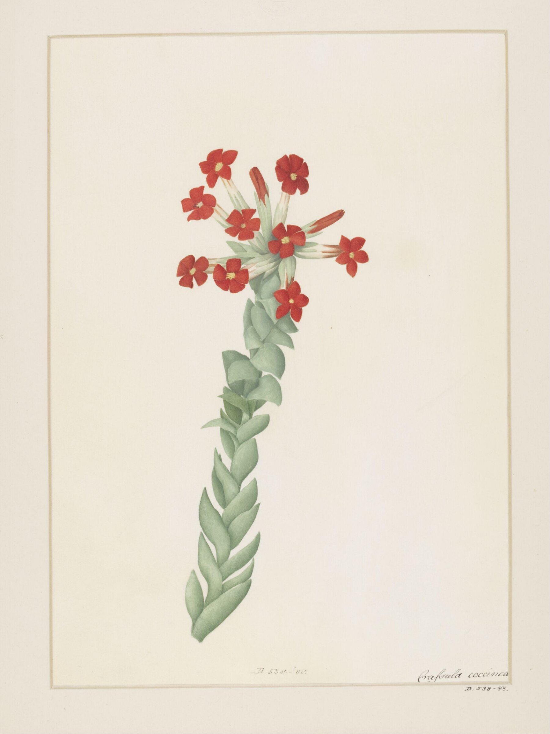 Drawing, A. Power, late 18th century - early 19th century