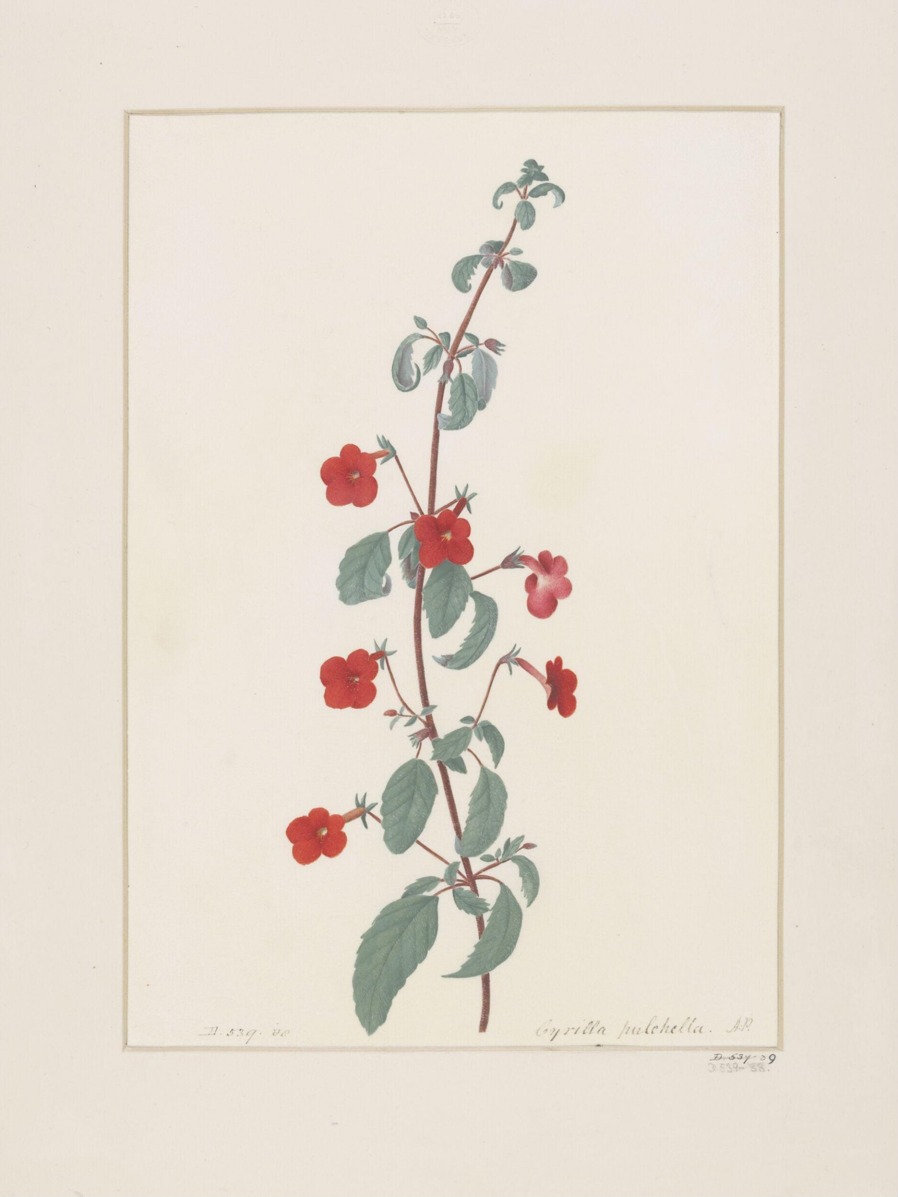 Drawing, A. Power, late 18th century - early 19th century