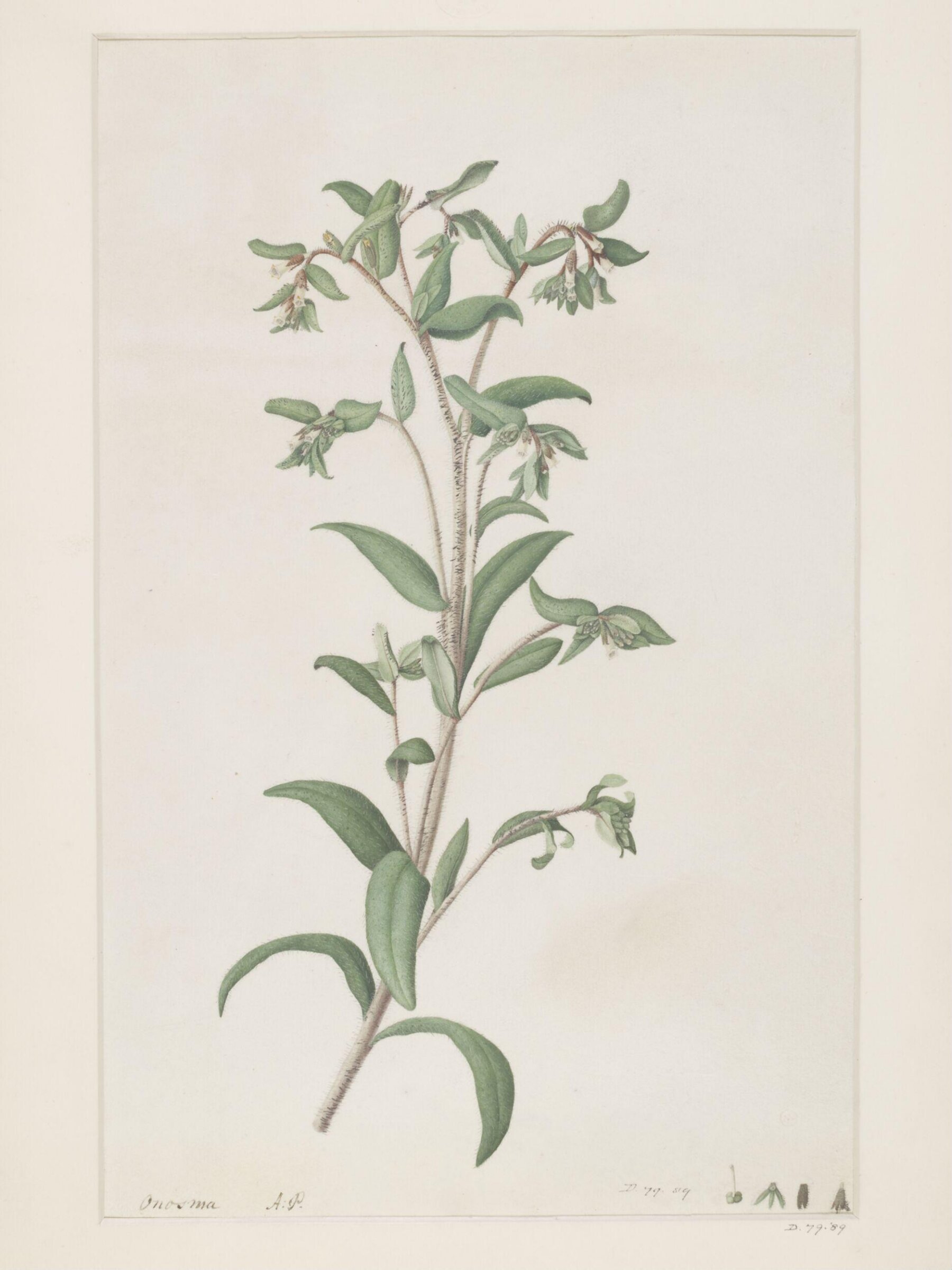 Drawing, A. Power, ca. 1800