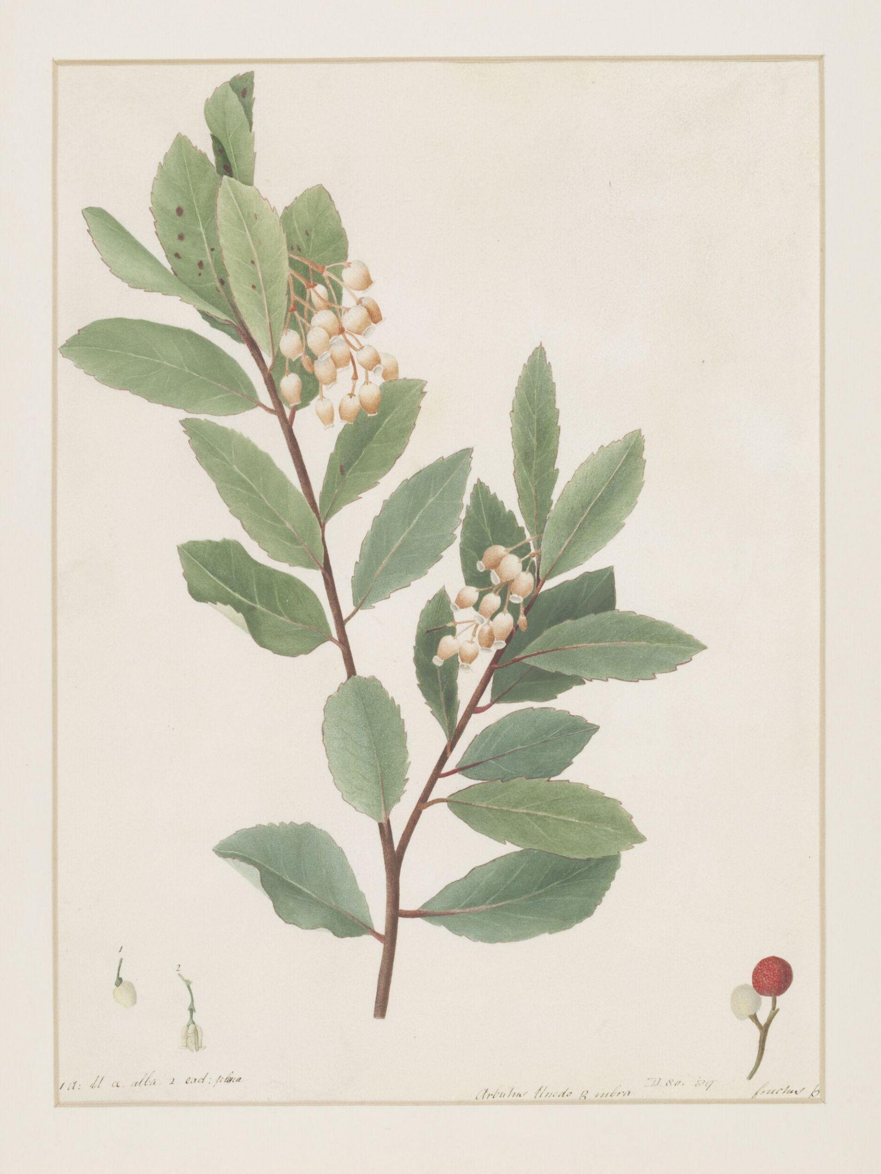 Drawing, A. Power, ca. 1800