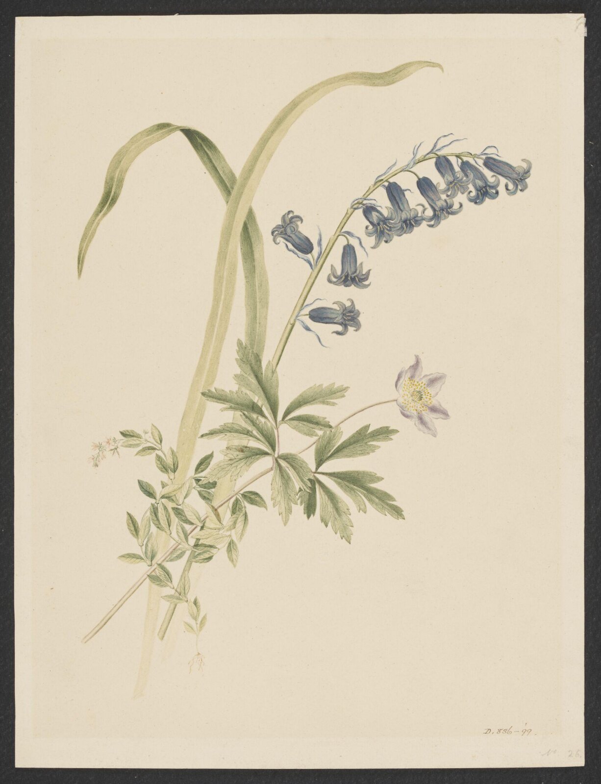 Drawing