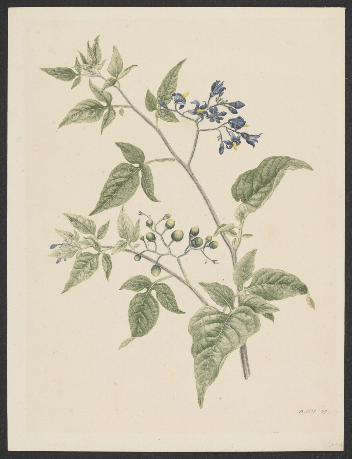 Drawing