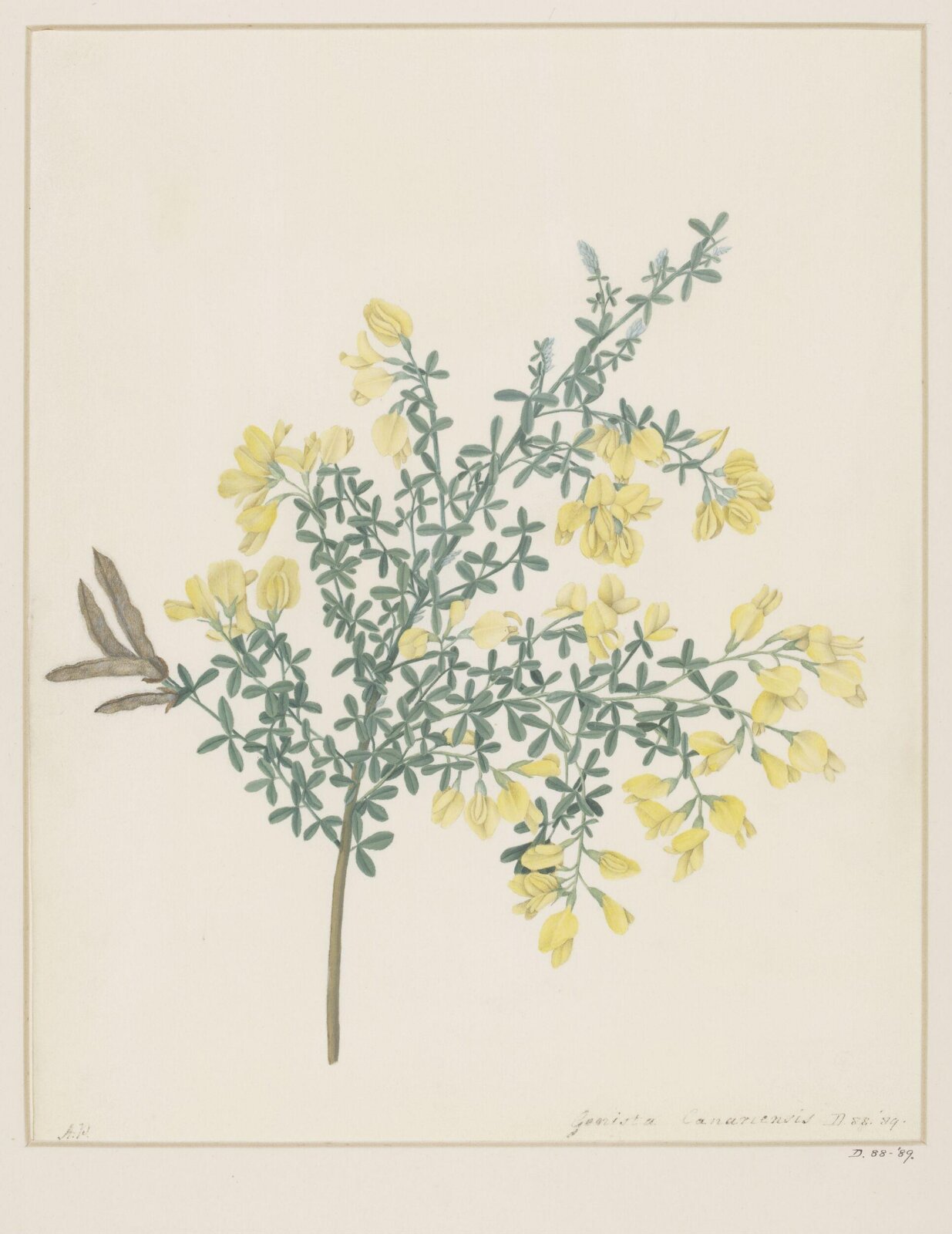 Drawing, A. Power, ca. 1800