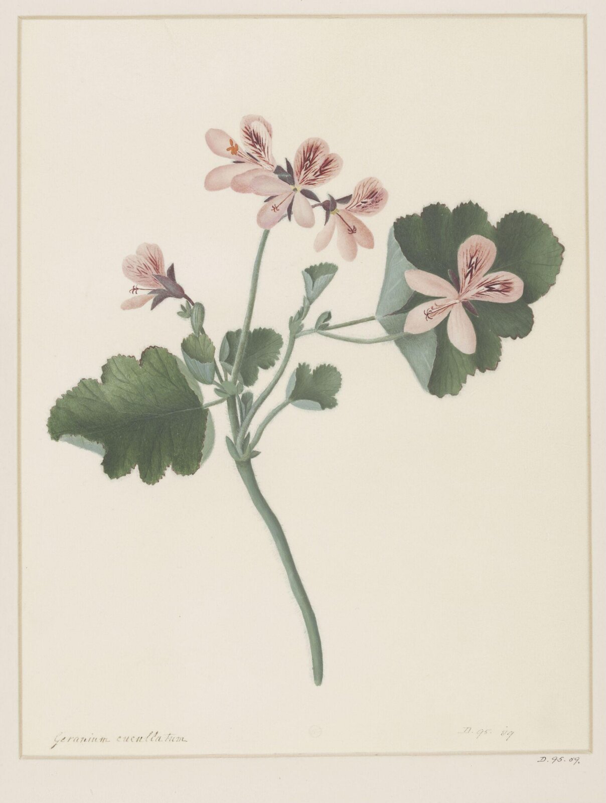 Drawing, A. Power, ca. 1800