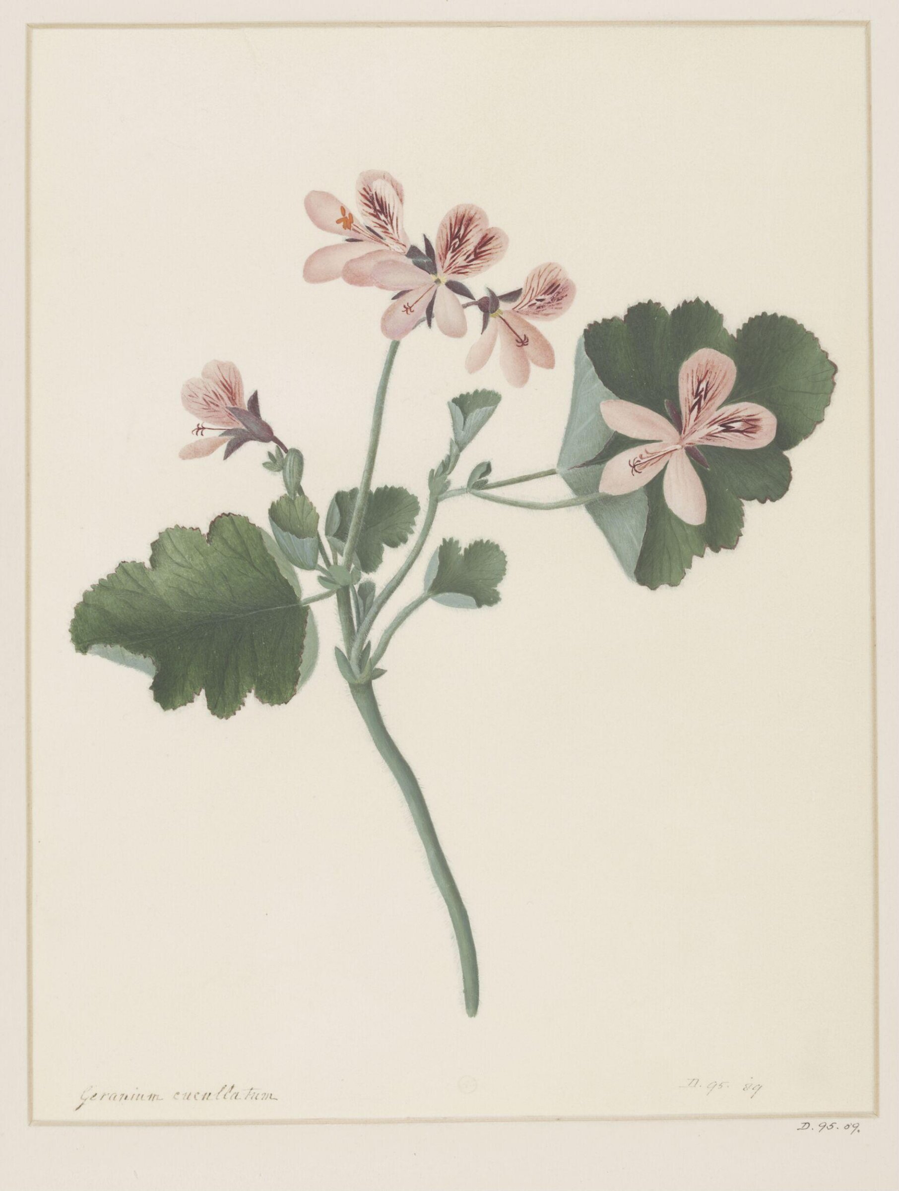 Drawing, A. Power, ca. 1800