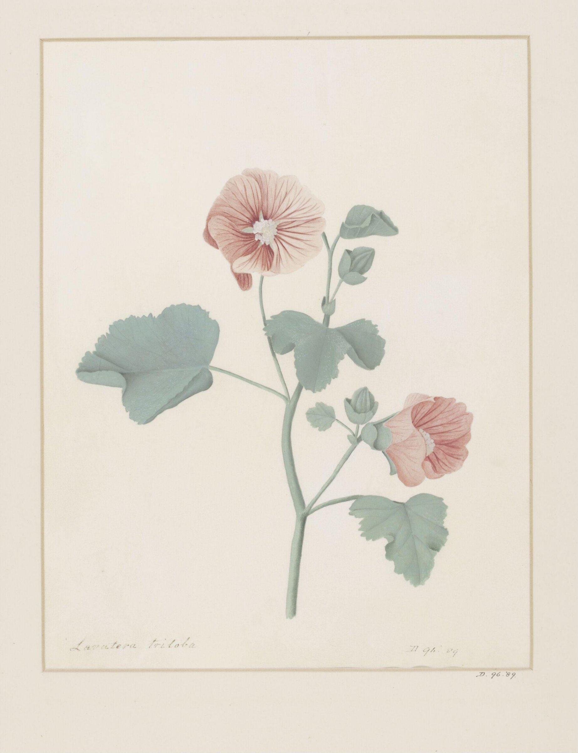 Drawing, A. Power, ca. 1800