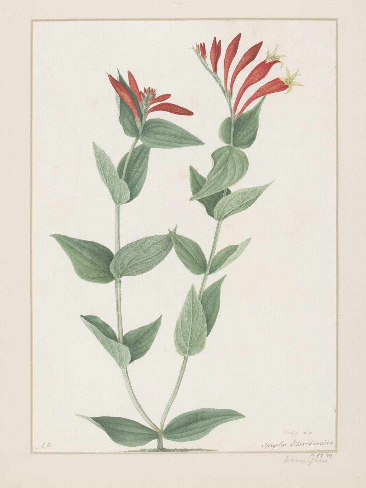 Drawing, A. Power, ca. 1800