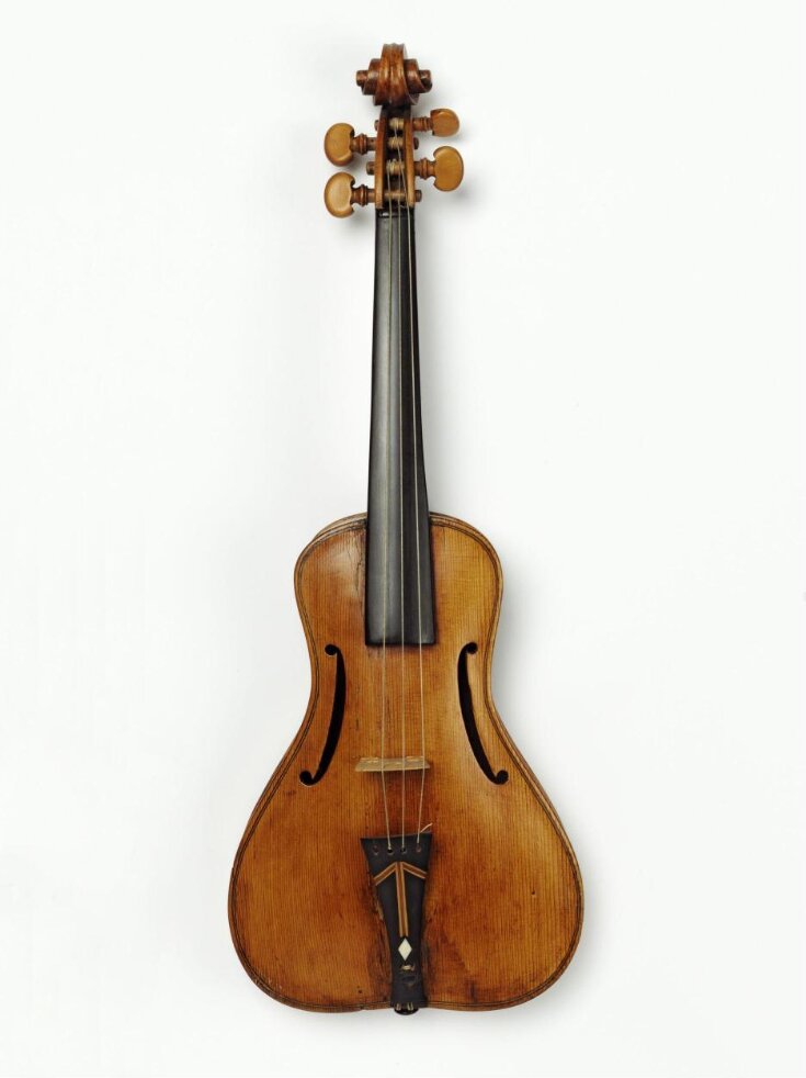 Violin top image