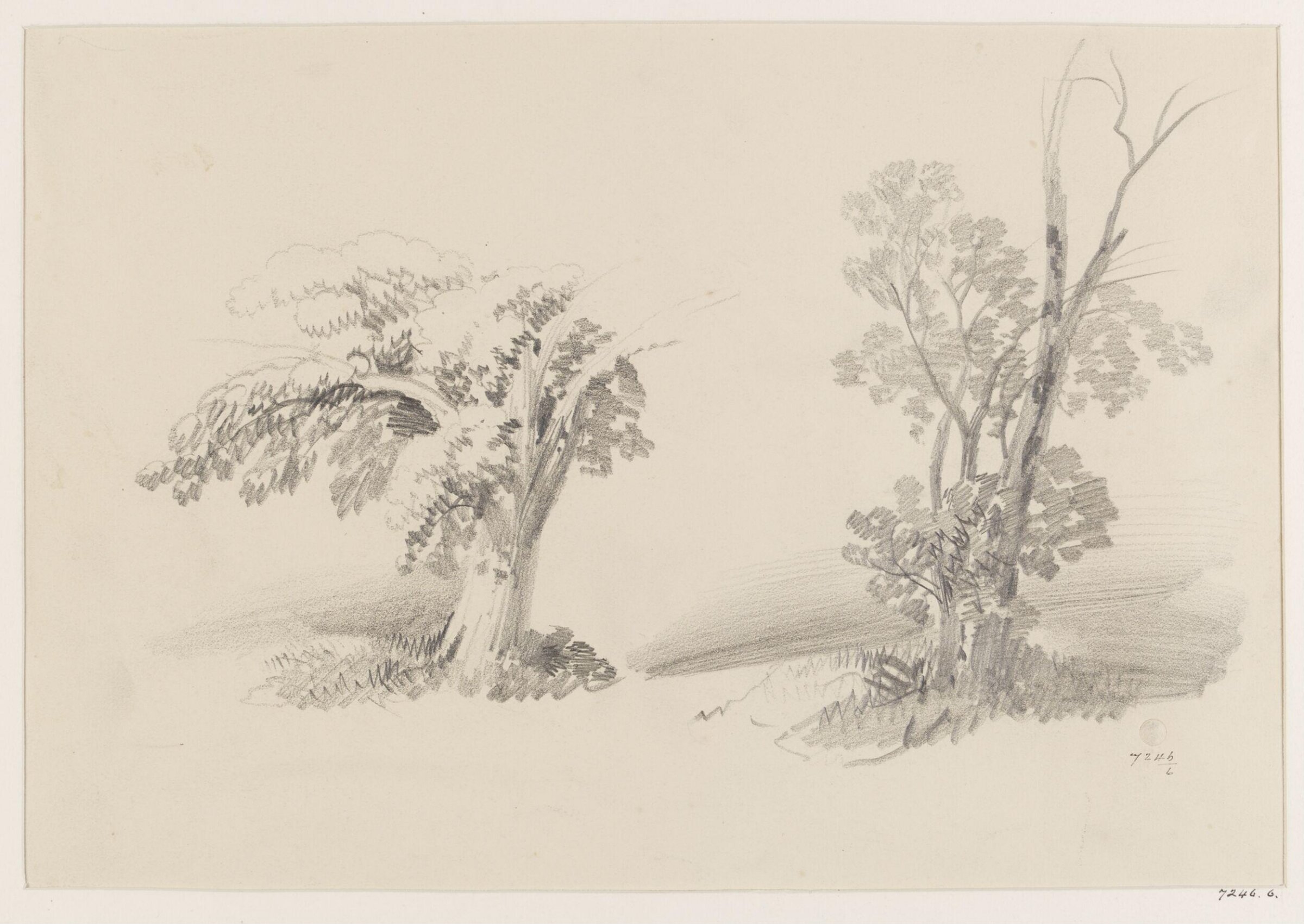 Drawing, James Duffield Harding, 19th century