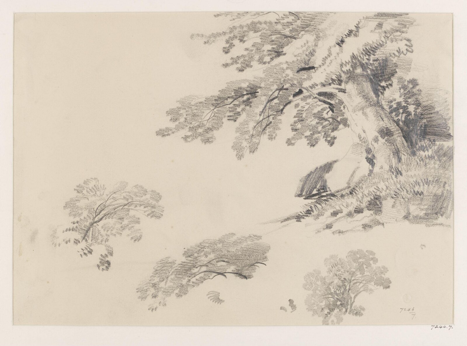 Drawing, James Duffield Harding, 19th century