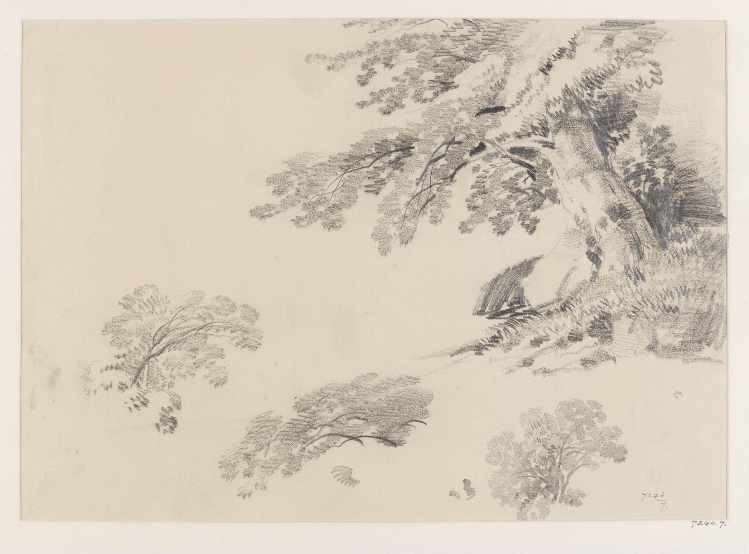 Drawing, James Duffield Harding, 19th century