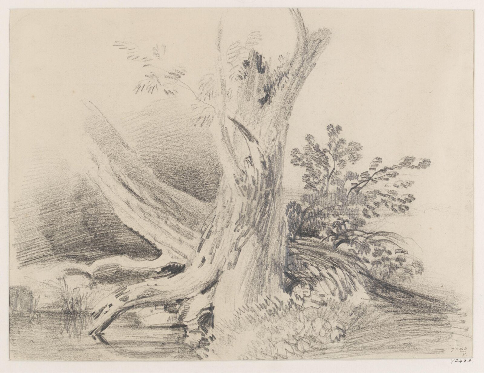 Drawing, James Duffield Harding, 19th century