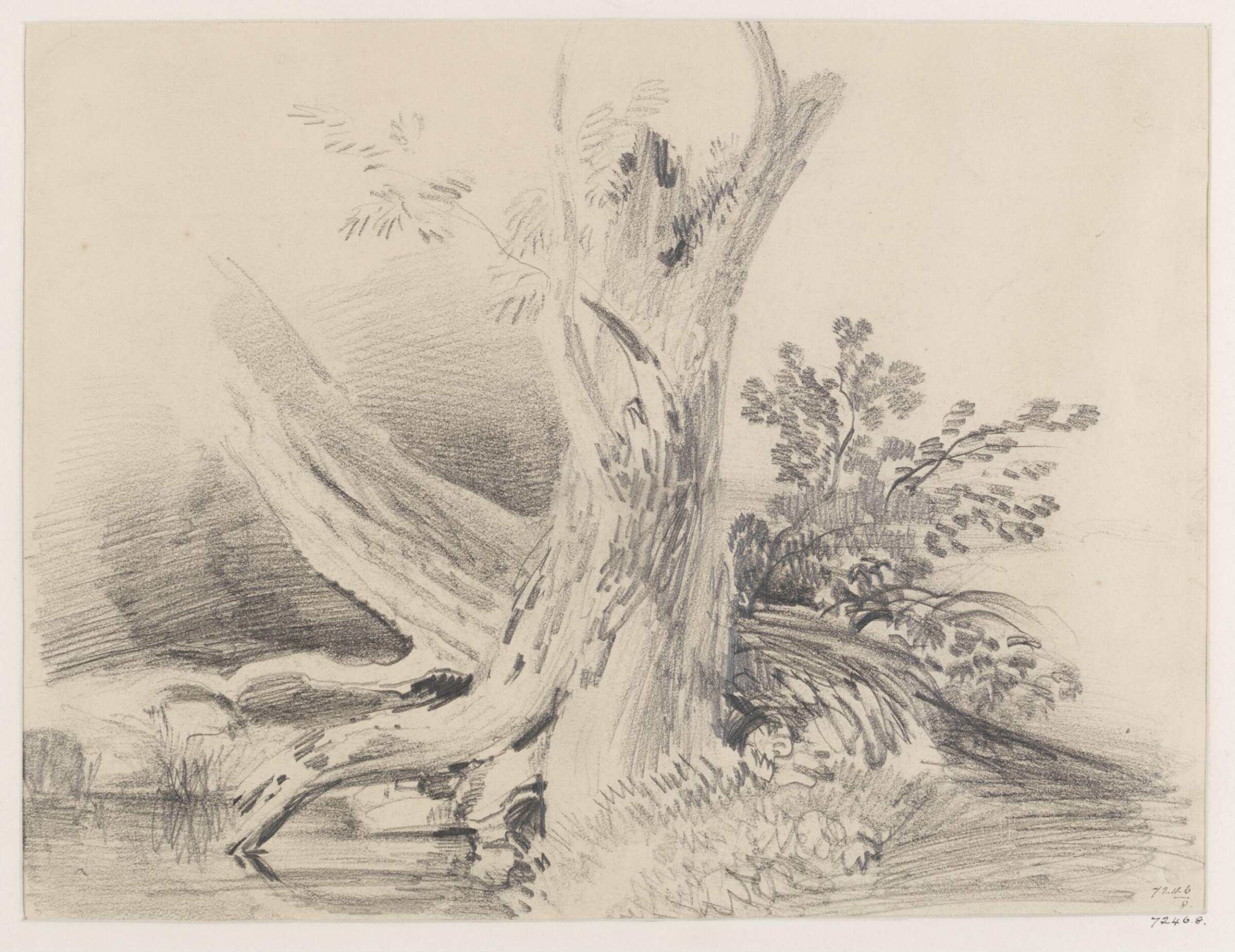 Drawing, James Duffield Harding, 19th century