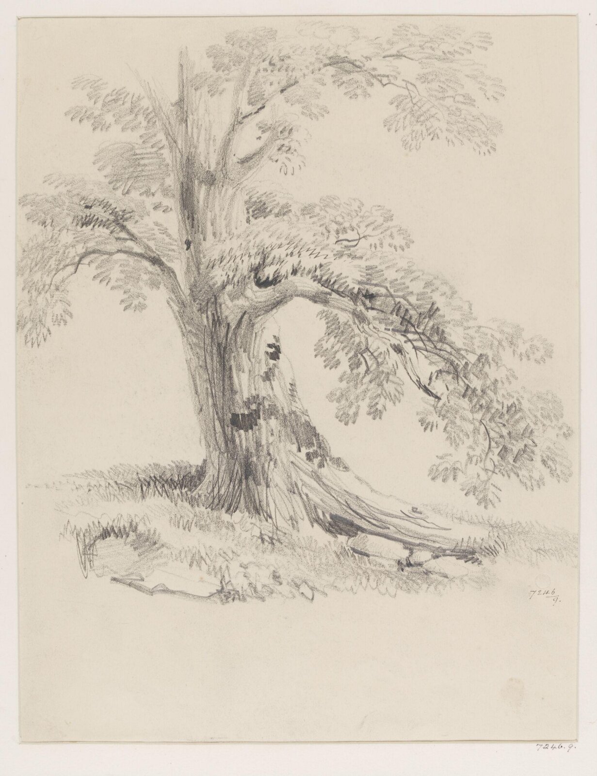 Drawing, James Duffield Harding, 19th century