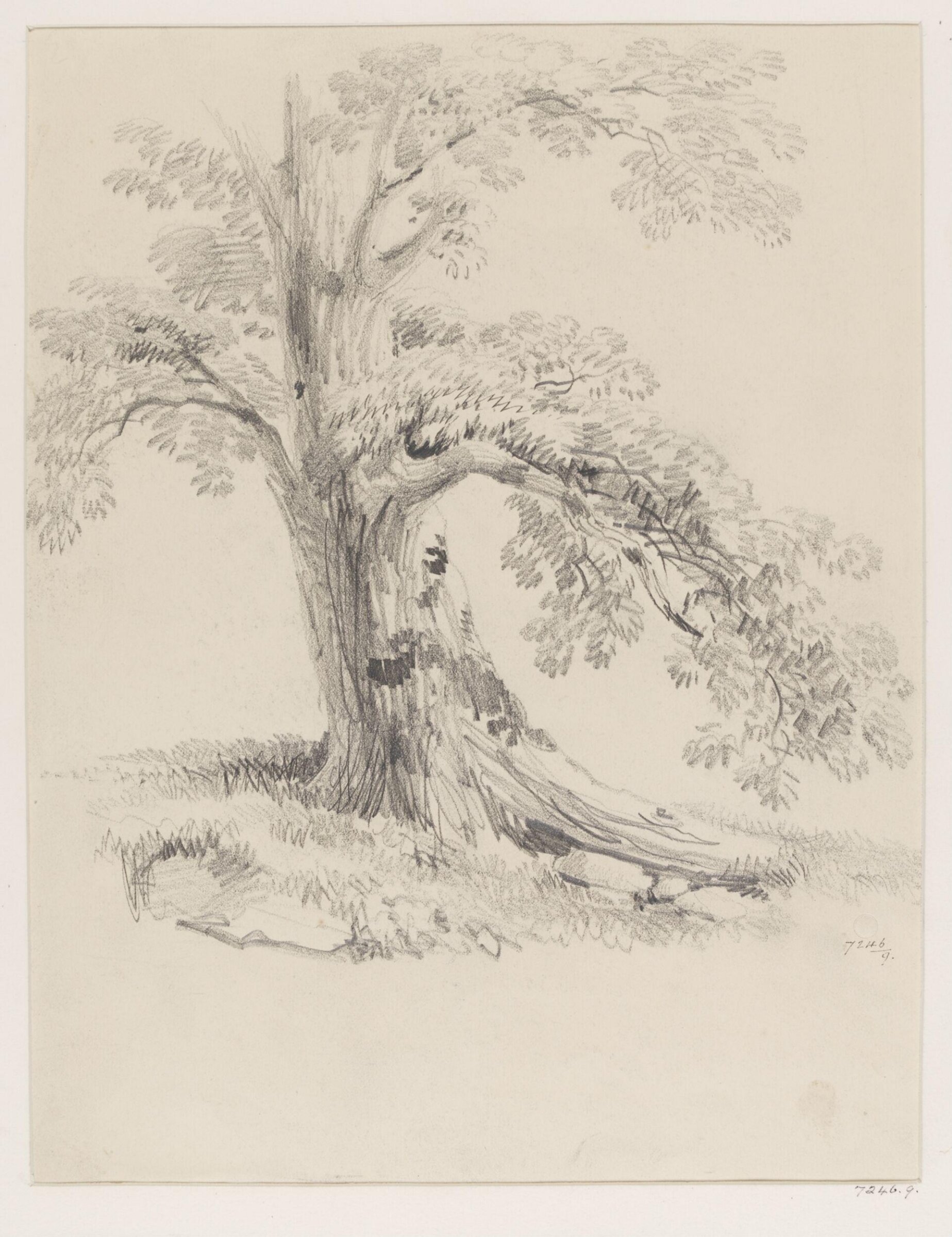 Drawing, James Duffield Harding, 19th century