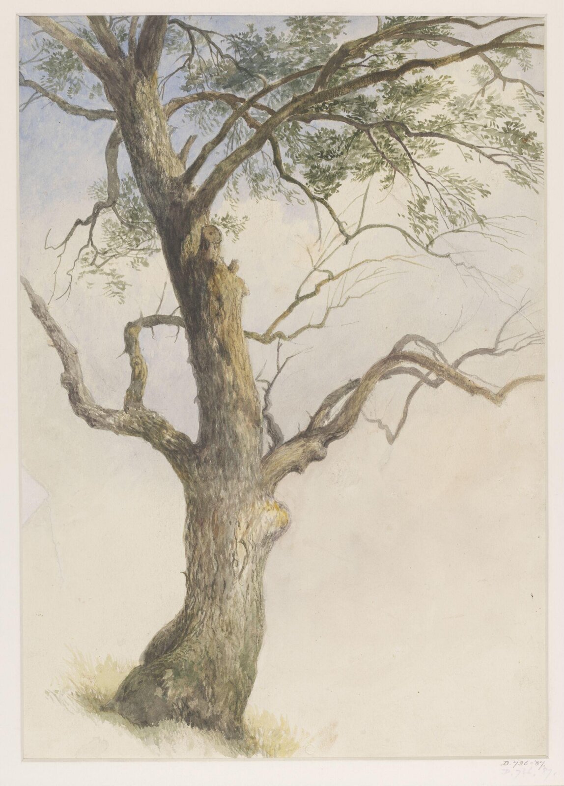 Drawing, George Edwards Hering, 19th century