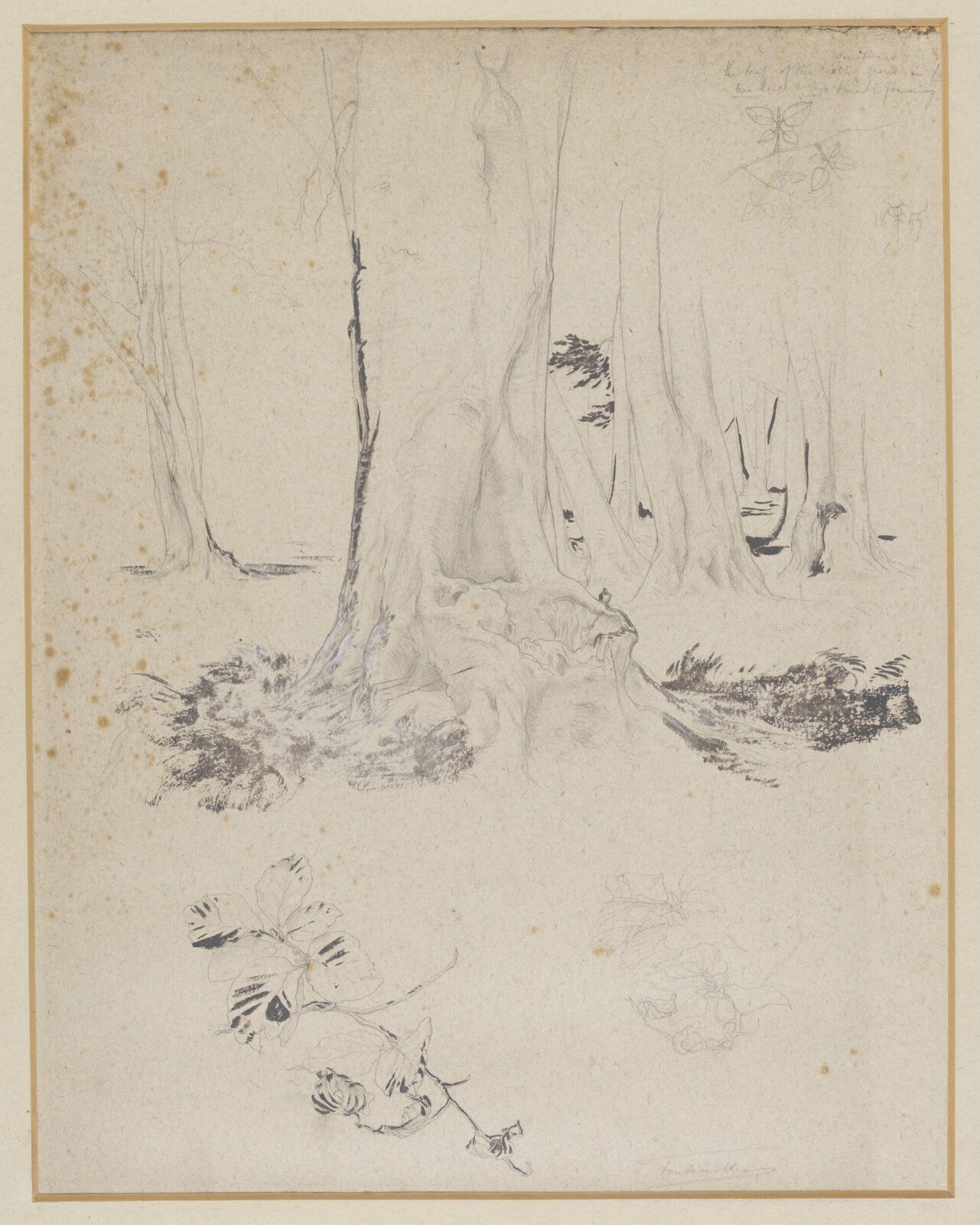 Drawing, Frederic Lord Leighton, 1855