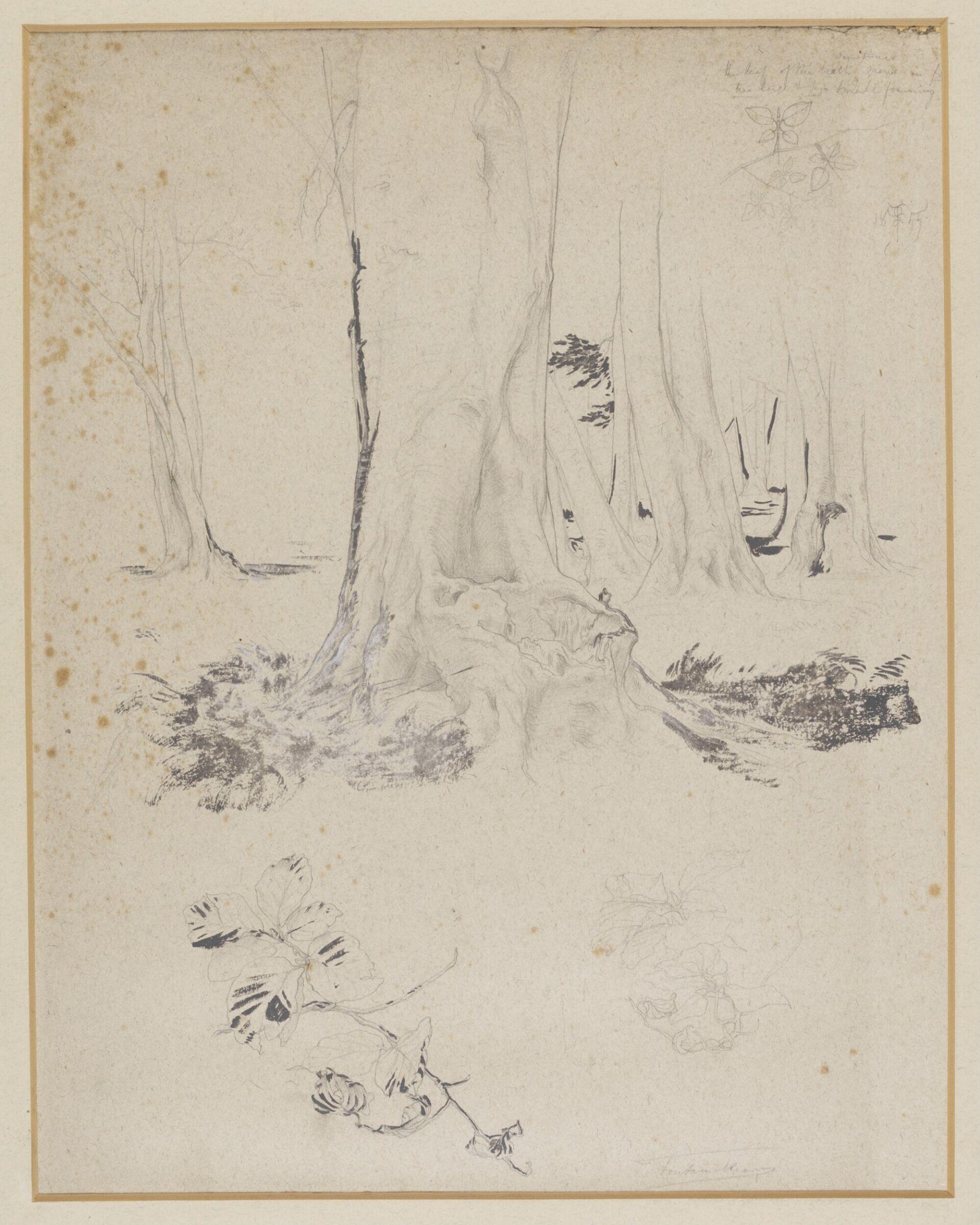 Drawing, Frederic Lord Leighton, 1855