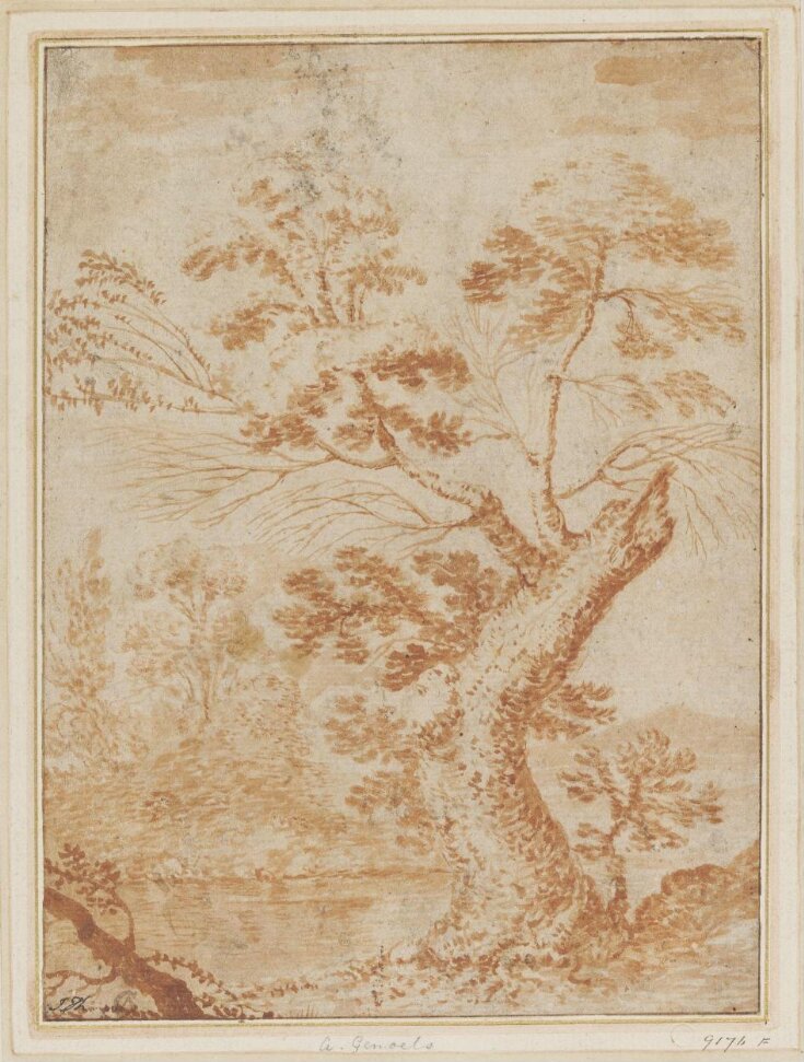 Study of a Tree Beside a River or Lake top image