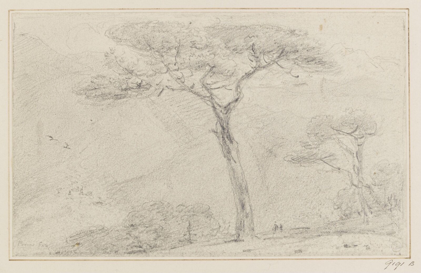 Drawing, Samuel Daniell