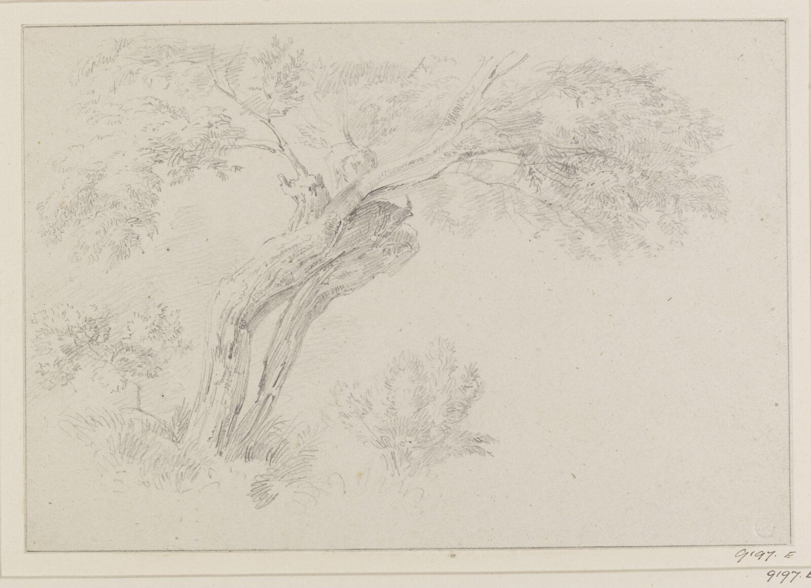 Drawing