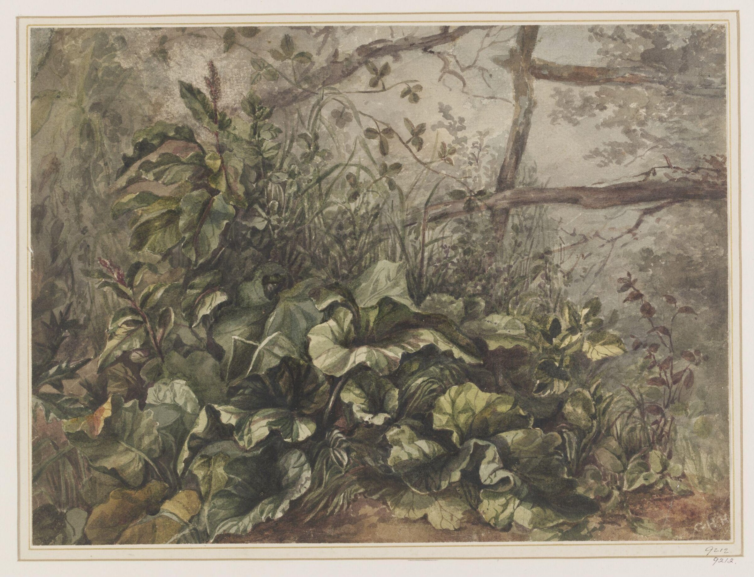 Study of foliage below a fence, George Henry Harrison, ca. 1834-1846