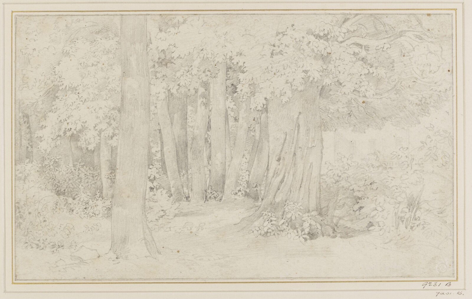 Drawing