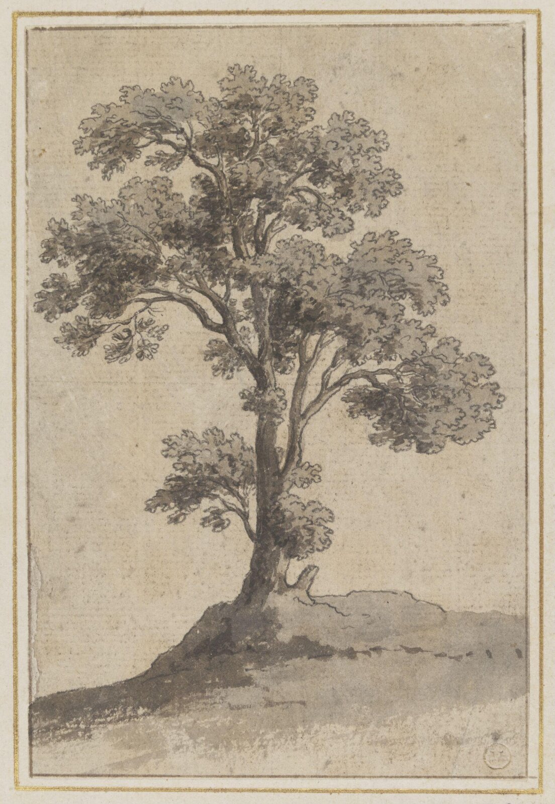 Drawing