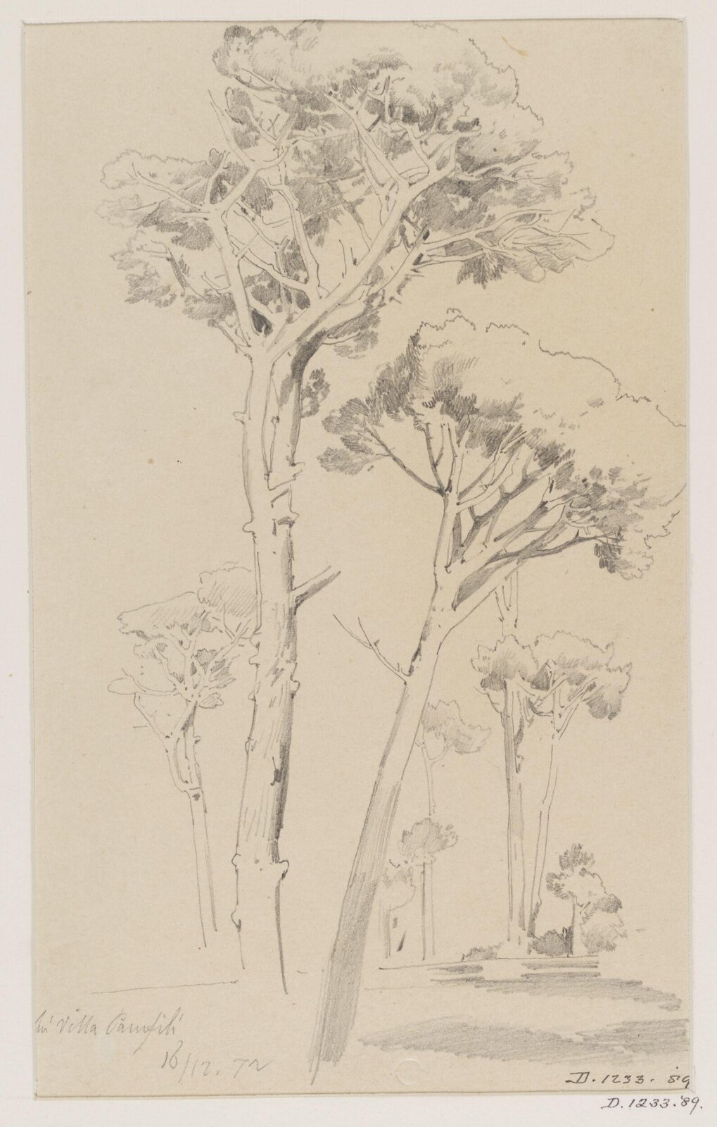 Drawing, 16th Dec 1872