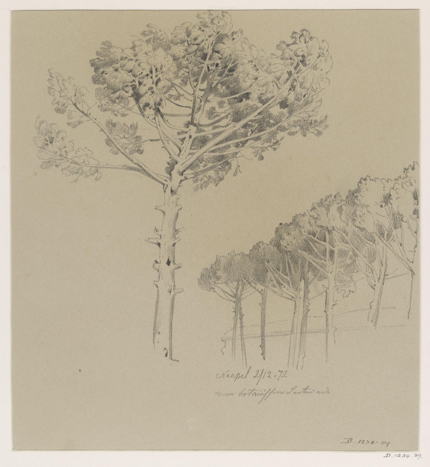 Drawing, 2nd Dec 1872