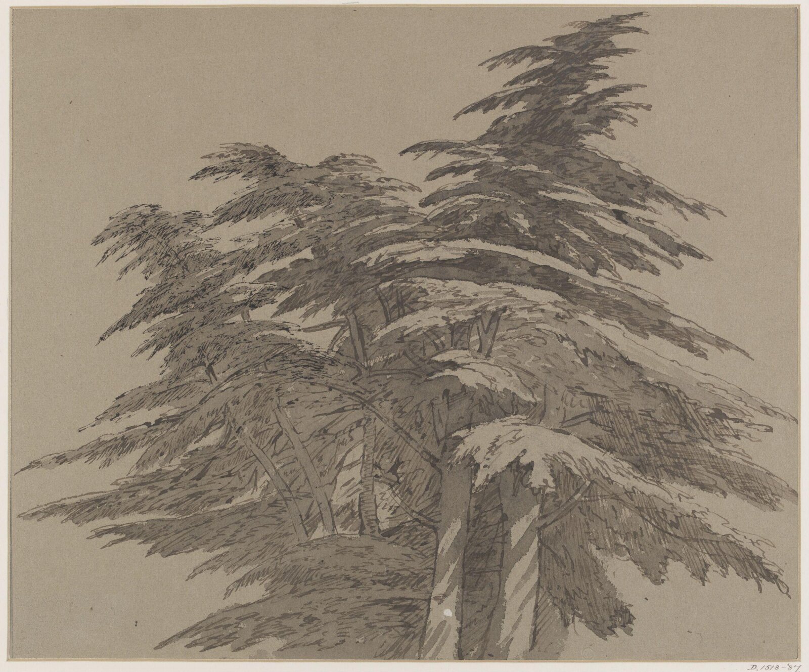 Drawing