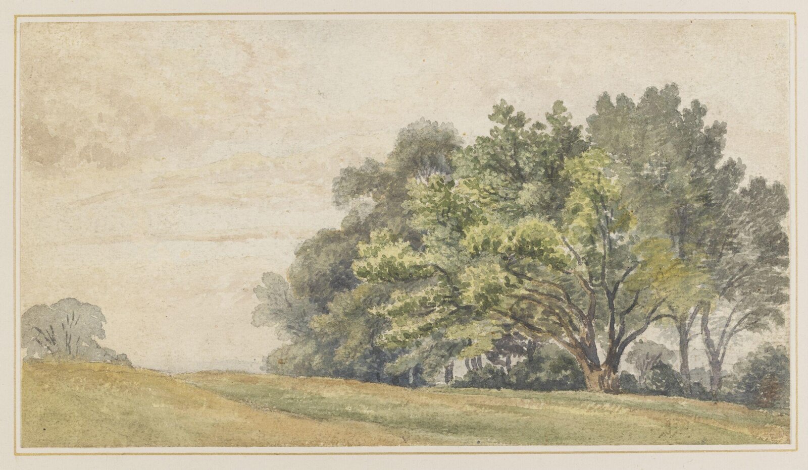 Drawing