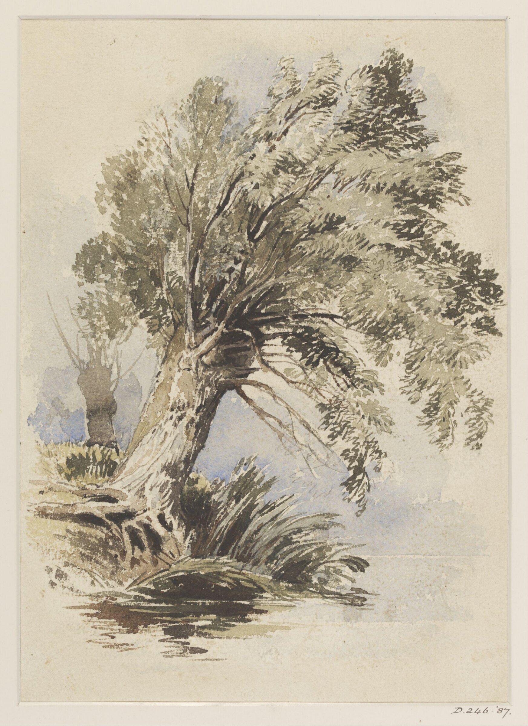 Drawing, David Hall NWS McKewan, ca. mid 19th century