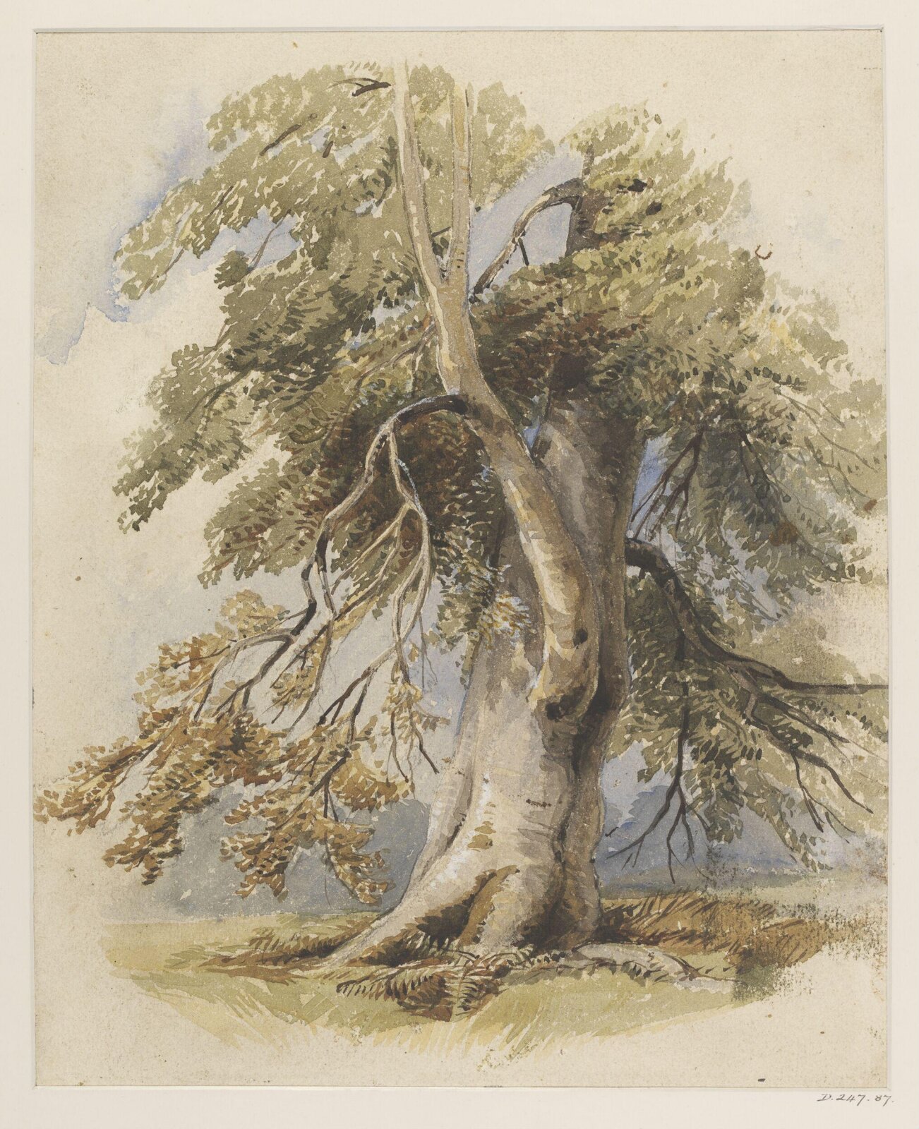 Drawing, David Hall NWS McKewan, ca. mid 19th century