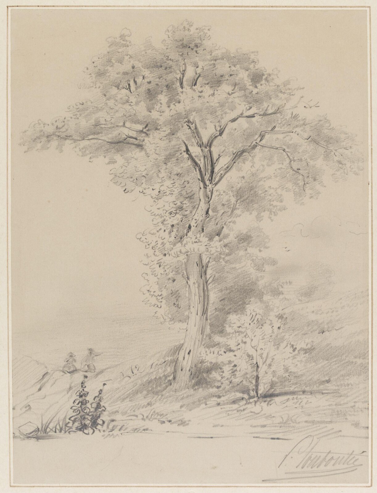 Drawing