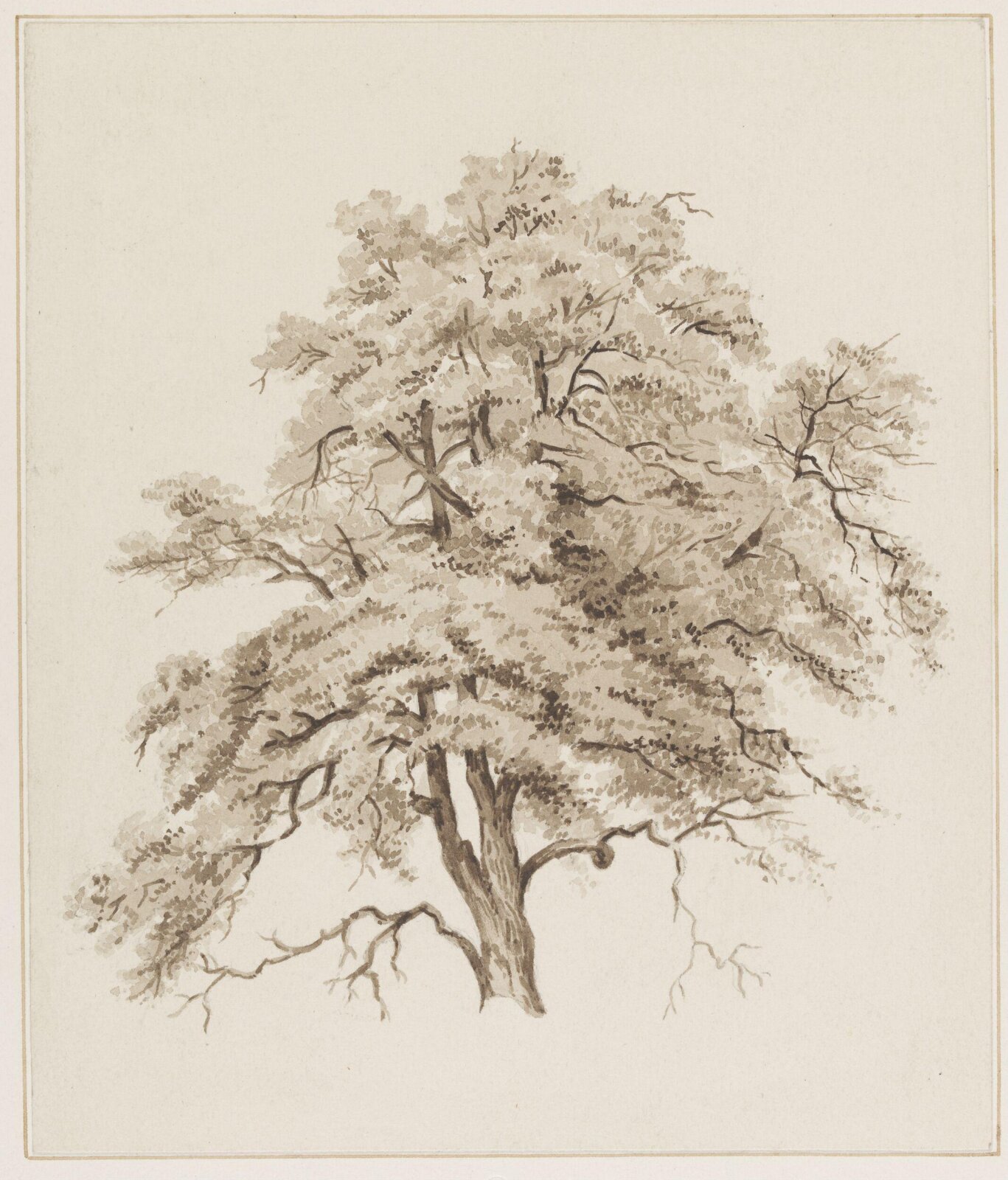 Drawing