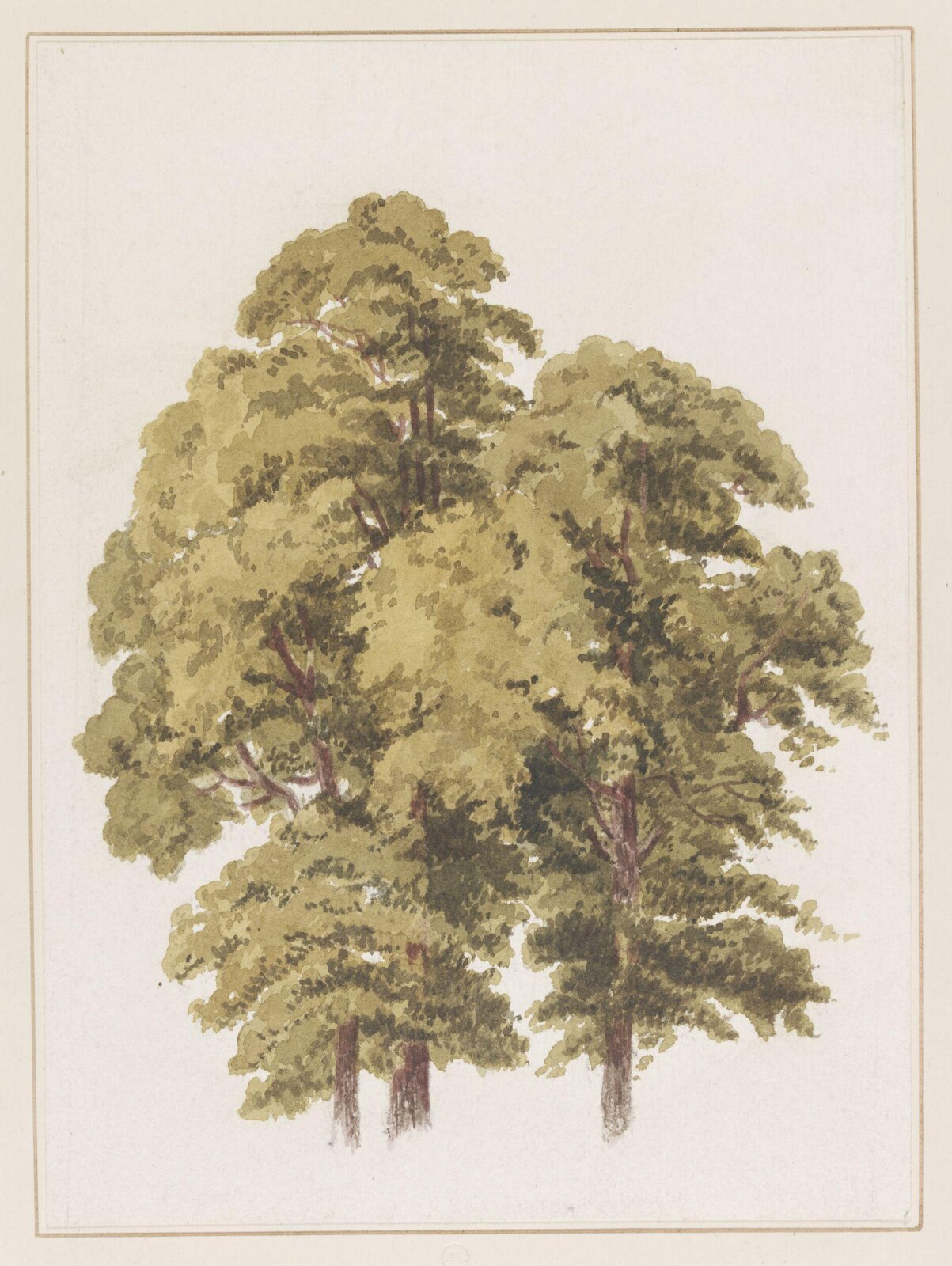 Drawing