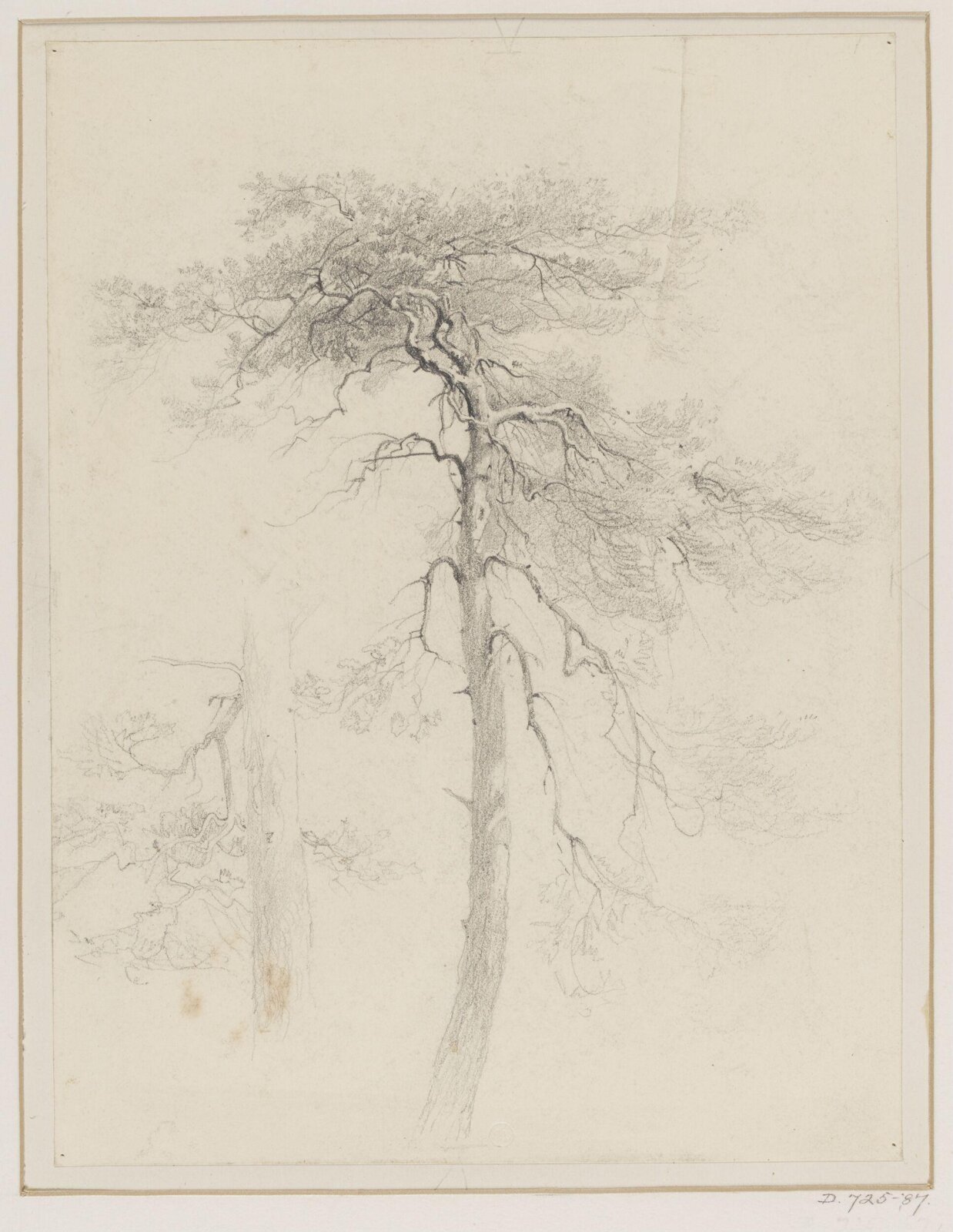 Drawing, George Edwards Hering, 19th century