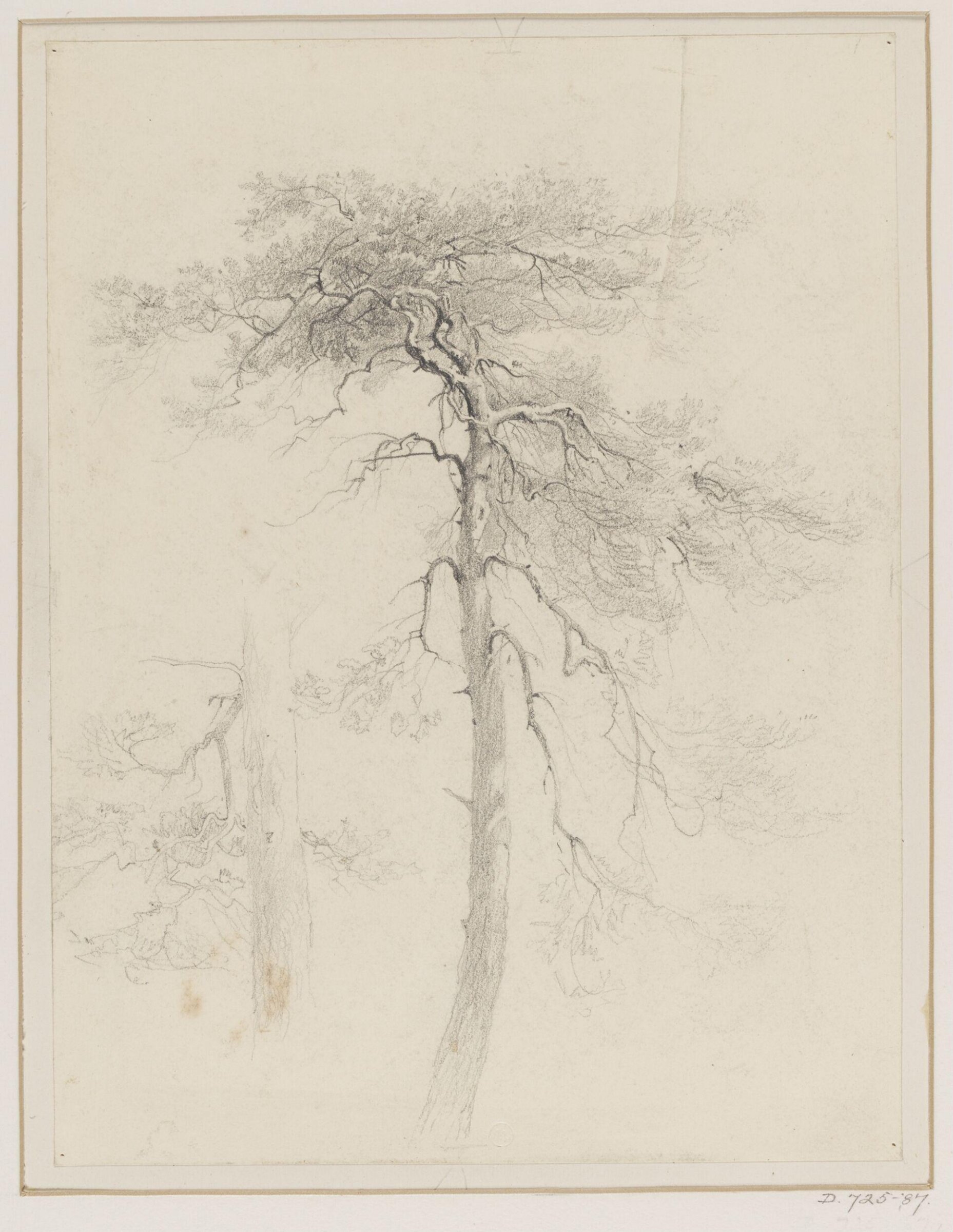 Drawing, George Edwards Hering, 19th century